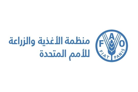 FAO awareness video highlights hundreds of millions facing acute food insecurity