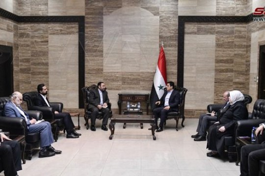 Syria, Iran discuss ways of cooperation in medical fields-Syria
