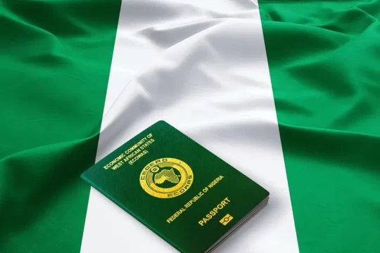 FG to commence automation of passport application Jan 8 in Nigeria-Sudan