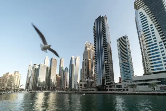 Dubai offers free holiday trips for UAE retirees to promote wellbeing-UAE