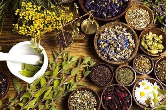Iran Exports over 850 Tons of Medicinal Herbs in 10 Months: Official -Iran