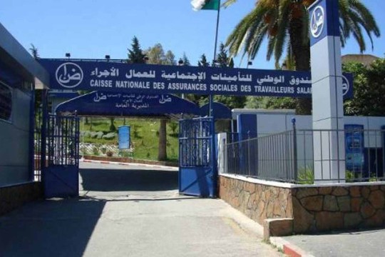 CNAS launches new digital service