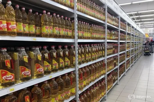 Egypt planning deals and price measures after devaluation, PM says