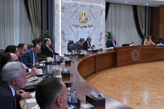 PM issues decision to enforce printing prices on commodities-Egypt