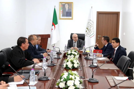 Kouidri chairs a meeting to follow up on Saidal's projects-Algeria