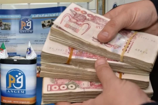 ANGEM grants up to DZD 1,000,000 in interest-free loans for this type of project: details