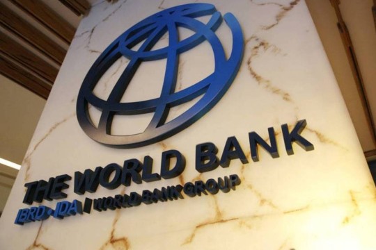 Economists see slower growth but greater global resilience