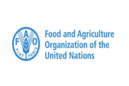 Iran among world’s top 10 countries in exporting 11 products -Iran