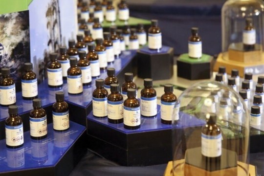 AEOI to produce 60 new radiopharmaceuticals for health sector -Iran