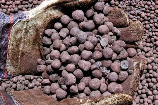 Iron ore pellet production up 10% in 9 months on year-Iran