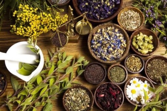 North Khorasan province exports medicinal plants for 1st time-Iran