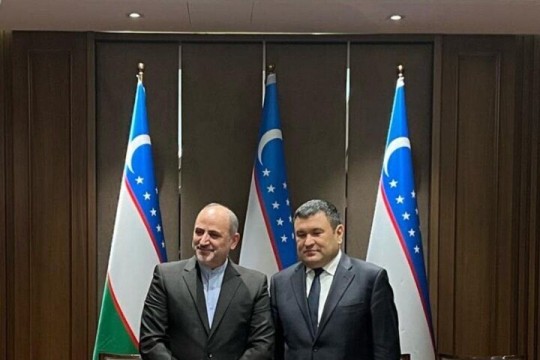 Tehran, Tashkent discuss ways of boosting economic ties -Iran