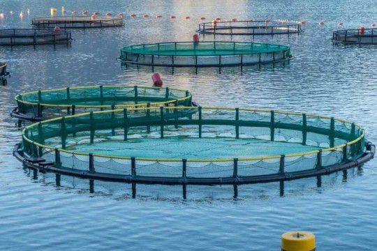 Major development projects to be inaugurated during government week