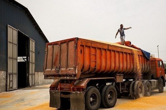 Loading, unloading of basic goods increase at ports