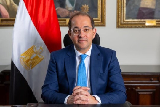 Egypt Finance Minister says prioritising essential supplies and investor needs key to mitigating economic risks-Egypt