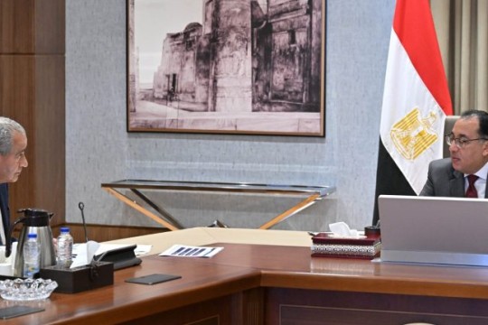 Prime Minister, Supply Minister discuss market regulation decisions, silos project-Egypt