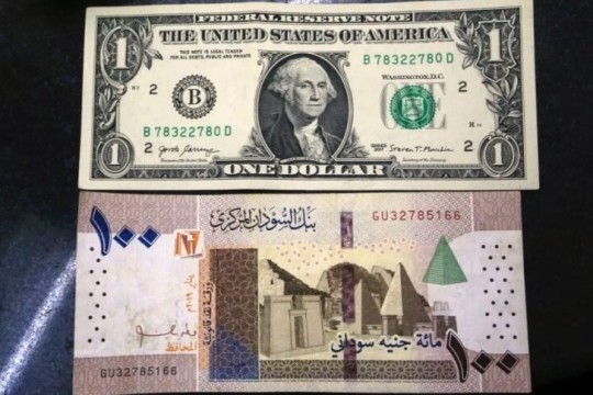 Increased departures from the country weaken Sudanese pound-Sudan