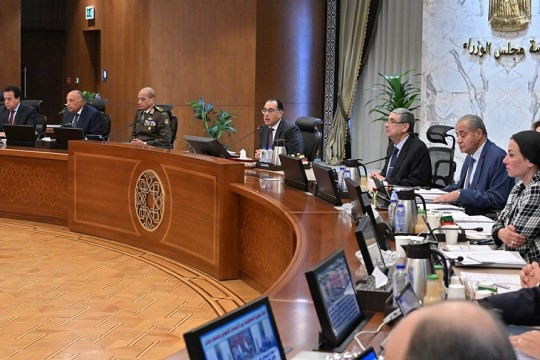 Cabinet authorizes letter of guarantee on Egyptian-Korean financing agreement