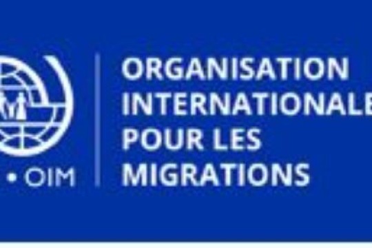 IOM: call for projects for Tunisian entrepreneurs at home and expatriates -Tunisia