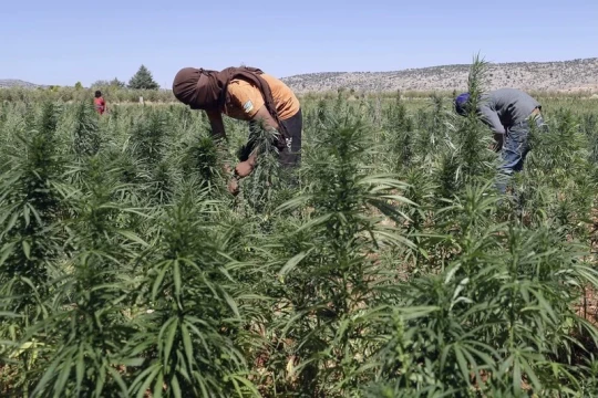 Morocco’s legal Cannabis industry expands with over 22 innovative products