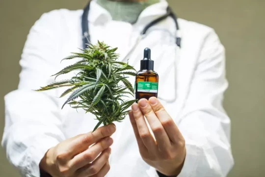 Study: Morocco has strong potential to build medical cannabis drug industry