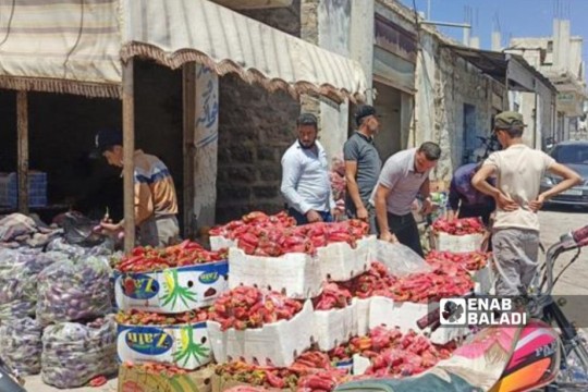 September Weighs Heavily on Syrian Families-Syria