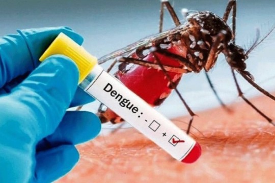 Dengue fever outbreak worsens in Khartoum Bahri amidst healthcare collapse