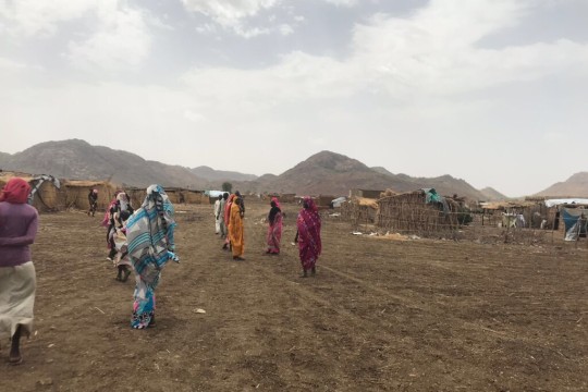 Education, healthcare chaos in Kordofan-Sudan