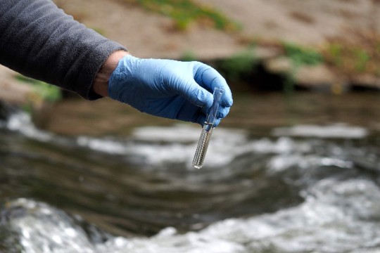 WHO affirms cholera threat in Lebanon as displaced populations grow