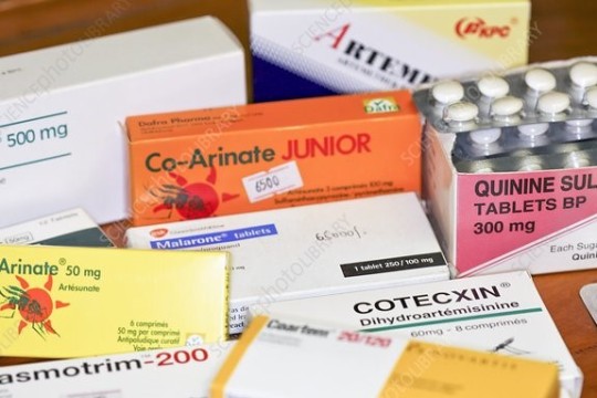 Caution to importers of medical drugs in Western Bahr el Ghazal