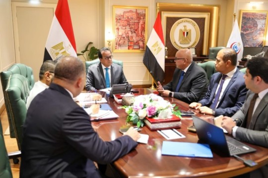 Egypt, IQVIA discuss collaboration on health solutions