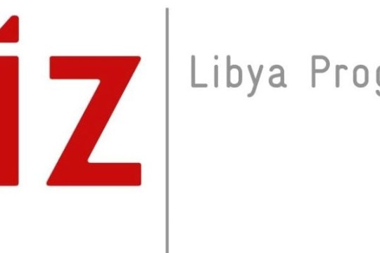 Solar PV training for 14 REAoL and GECOL technicians held in Tunisia-Libya