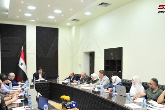 12 Children wear hearing aids within EHDI national program-Syria