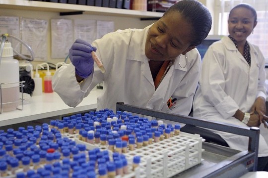 IFC partners with South Africa’s Biovac to expand vaccine manufacturing in Africa-Algeria