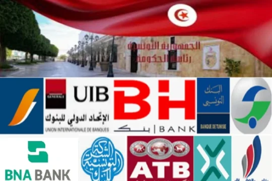 State engages in crowding out and pushes private sector out of credit market-Tunisia