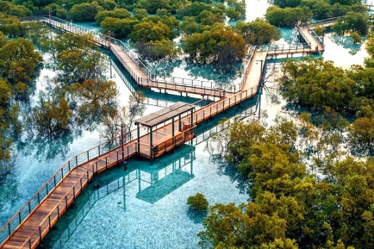 NMDC lands Jubail Island channel widening works contract-UAE