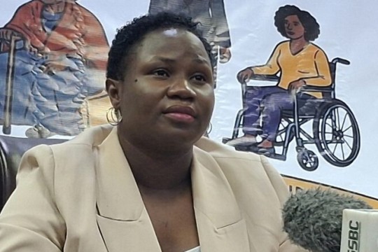 Minister calls for 10% gender budget in South Sudan