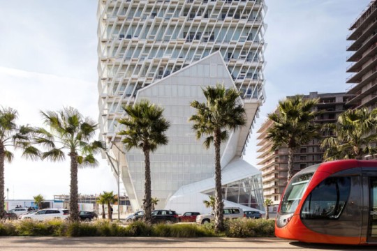 Morocco Treasury Financing Needs Fall to MAD 15.5 Billion in January 2026