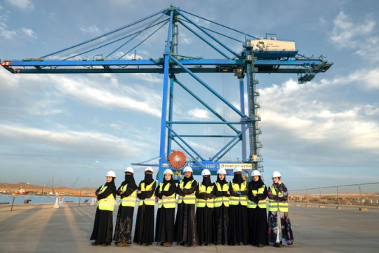 Port of NEOM receives fully automated cranes; work on track-Saudi Arabia