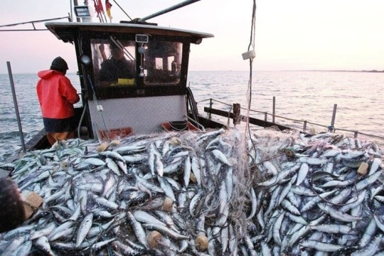Russia begins new fishing operations in Moroccan waters under updated agreement-Morocco