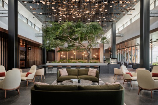 American Express تفتتح أكبر صالة Centurion في مطار هارتسفيلد جاكسون أتلانتا الدولي