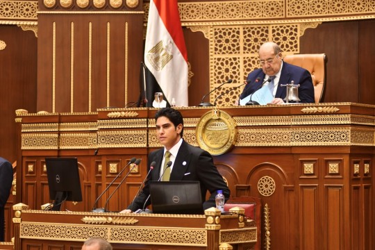 AI Innovations: Ahmed Abou Hashima Highlights Egypt's Progress and UAE's Exemplary Role in Senate Presentation