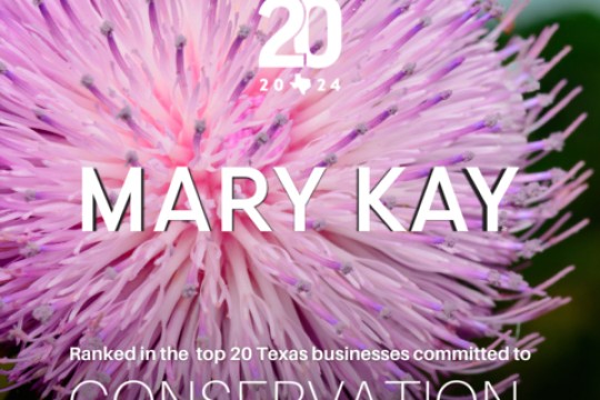 تم تكريم Mary Kay لقيادتها في مجال الحفاظ على البيئة للسنة الثانية على التوالي في فعاليات Texan by Nature 20 لعام 2024