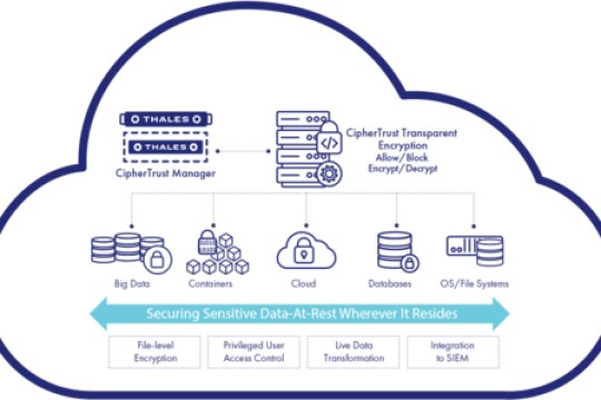 تاليس توسِّع عروض خدمة منصَّة أمان البيانات سيفيرترست