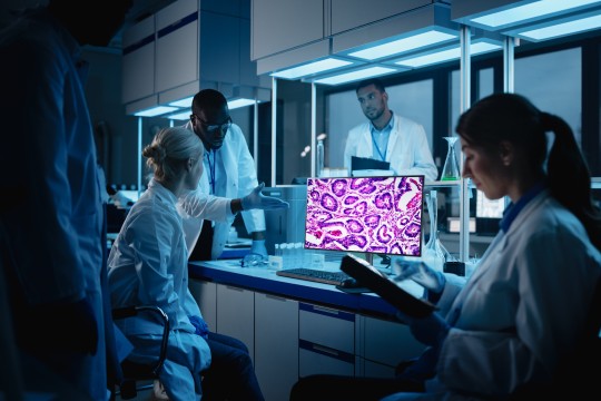 LG to Showcase Its Cutting-Edge Medical Display Solutions at Arab Health 2025