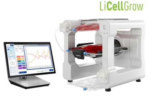 PHC and CCRM Collaborate to Develop Primary T-Cell Expansion Culture Processes to Enhance Efficiency and Improve Cell Quality