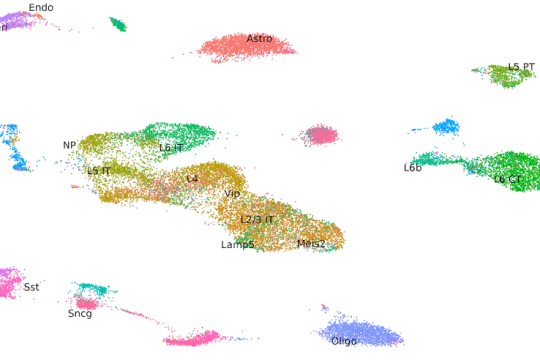 Parse Biosciences Advances Plans to Release Single Cell Chromatin Accessibility Products