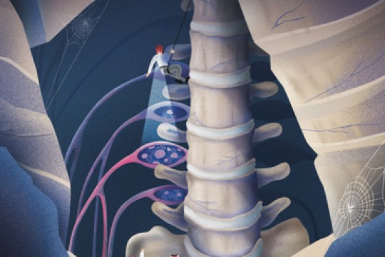 Rubedo Life Sciences’ Drug Discovery Platform, ALEMBIC™, Helps Identify Senescent or “Zombie” Neurons in New Study Linking Neuropathic Pain and Aging Published in Peer-Reviewed Scientific Journal Nature Neuroscience