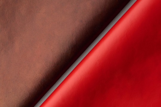 شركة Qorium تحصل على استثمار بقيمة 22 مليون يورو لتسريع وتيرة تسويق الجلود المزروعة