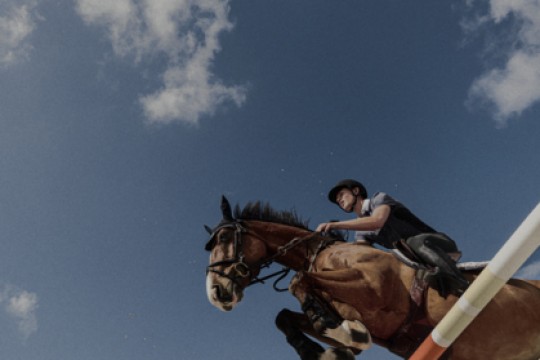 انطلاق Premier Jumping League (PJL) بجوائز مضمونة قياسية قدرها 300 مليون دولار أمريكي، في خطوة ترسم ملامح حقبة جديدة لرياضة قفز الحواجز